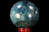 Bright Blue Apatite Sphere - Madagascar #90202-1